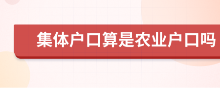 集体户口算是农业户口吗