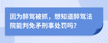 因为醉驾被抓，想知道醉驾法院能判免矛刑事处罚吗？