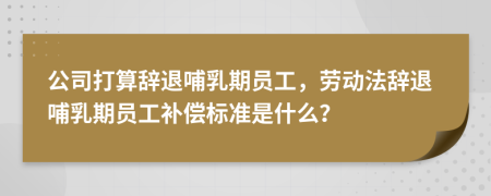 公司打算辞退哺乳期员工，劳动法辞退哺乳期员工补偿标准是什么？