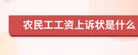 农民工工资上诉状是什么