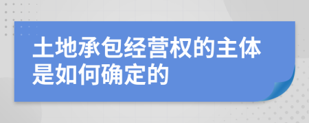 土地承包经营权的主体是如何确定的