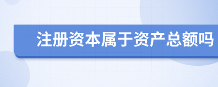 注册资本属于资产总额吗