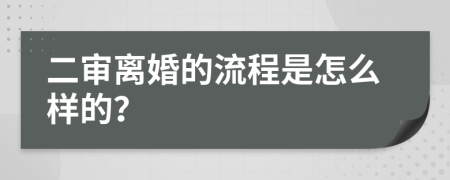 二审离婚的流程是怎么样的？