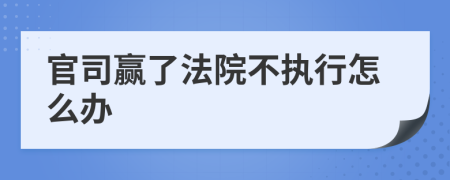 官司赢了法院不执行怎么办