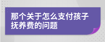 那个关于怎么支付孩子抚养费的问题