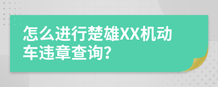 怎么进行楚雄XX机动车违章查询？