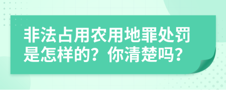 非法占用农用地罪处罚是怎样的？你清楚吗？