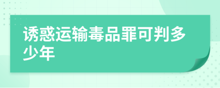 诱惑运输毒品罪可判多少年