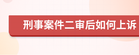 刑事案件二审后如何上诉