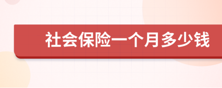 社会保险一个月多少钱