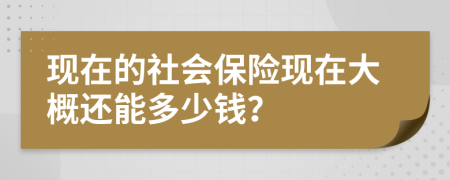现在的社会保险现在大概还能多少钱？