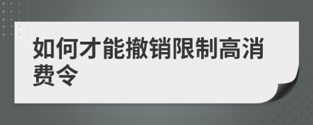 如何才能撤销限制高消费令