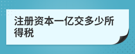 注册资本一亿交多少所得税