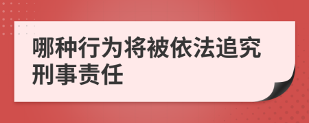 哪种行为将被依法追究刑事责任