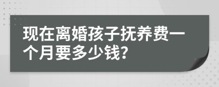 现在离婚孩子抚养费一个月要多少钱？