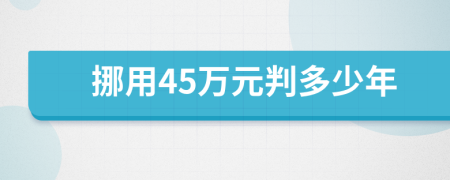 挪用45万元判多少年