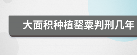 大面积种植罂粟判刑几年