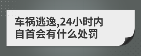 车祸逃逸,24小时内自首会有什么处罚