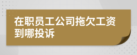 在职员工公司拖欠工资到哪投诉