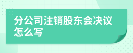 分公司注销股东会决议怎么写