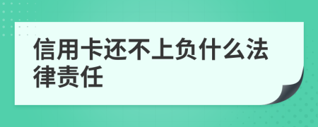 信用卡还不上负什么法律责任