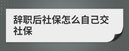 辞职后社保怎么自己交社保