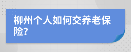 柳州个人如何交养老保险？