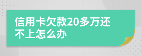 信用卡欠款20多万还不上怎么办