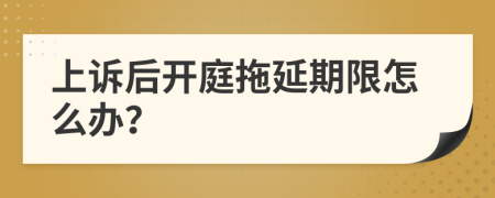 上诉后开庭拖延期限怎么办？