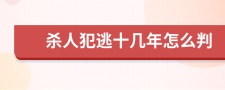 杀人犯逃十几年怎么判