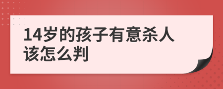 14岁的孩子有意杀人该怎么判