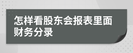 怎样看股东会报表里面财务分录