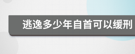 逃逸多少年自首可以缓刑