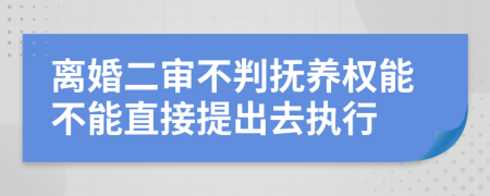 离婚二审不判抚养权能不能直接提出去执行