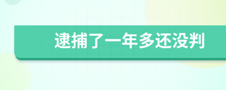 逮捕了一年多还没判