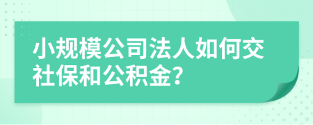小规模公司法人如何交社保和公积金？