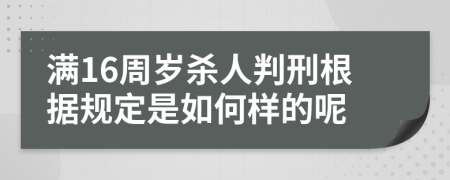 满16周岁杀人判刑根据规定是如何样的呢