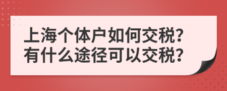 上海个体户如何交税？有什么途径可以交税？