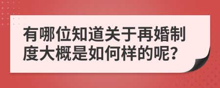 有哪位知道关于再婚制度大概是如何样的呢？
