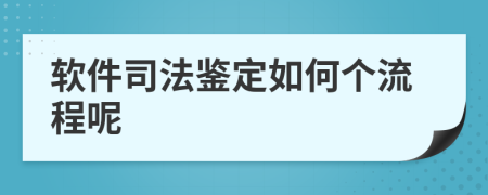 软件司法鉴定如何个流程呢