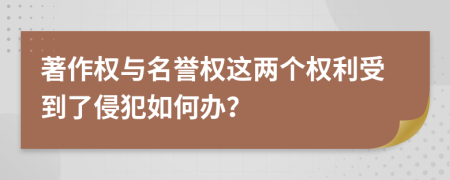 著作权与名誉权这两个权利受到了侵犯如何办？