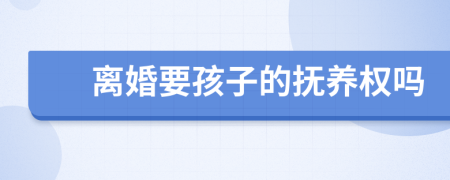 离婚要孩子的抚养权吗