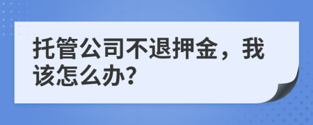 托管公司不退押金，我该怎么办？