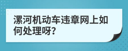 漯河机动车违章网上如何处理呀？