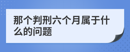 那个判刑六个月属于什么的问题