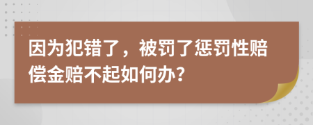 因为犯错了，被罚了惩罚性赔偿金赔不起如何办？