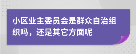 小区业主委员会是群众自治组织吗，还是其它方面呢