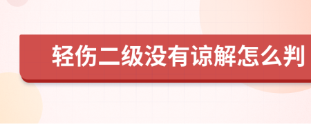 轻伤二级没有谅解怎么判