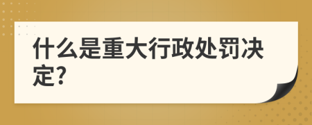 什么是重大行政处罚决定?