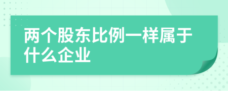 两个股东比例一样属于什么企业